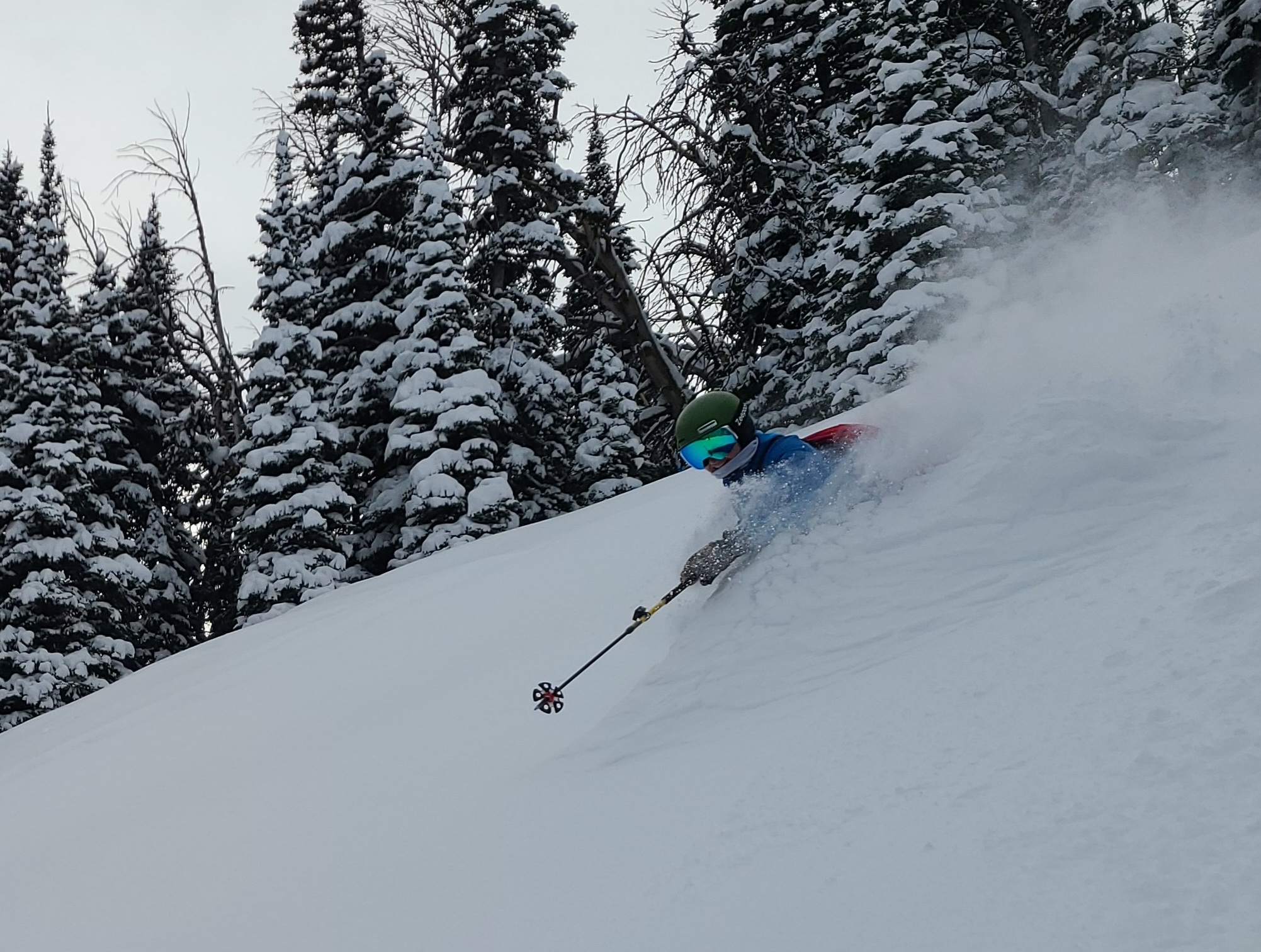 Accountants skiing deep powder in the mountains near Bozeman, Montana MT